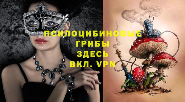 молекула духа Струнино